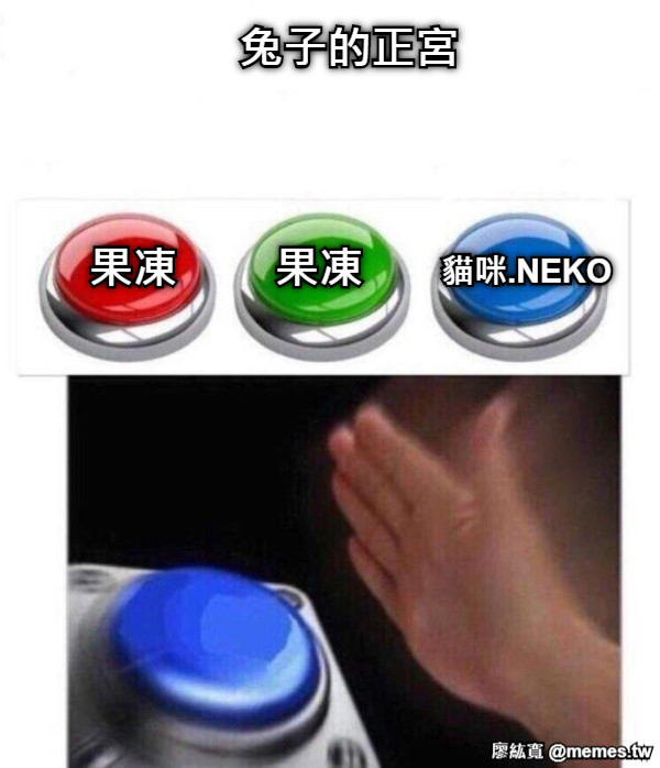 兔子的正宮 貓咪.NEKO 果凍        果凍