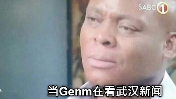 当Genm在看武汉新闻