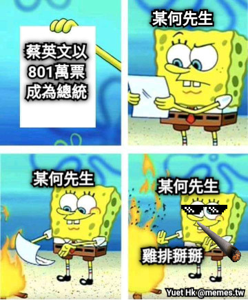 某何先生 蔡英文以 801萬票 成為總統 雞排掰掰 某何先生 某何先生