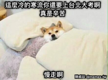 這麼冷的寒流你還要上台北大考啊 真是辛苦 慢走啊