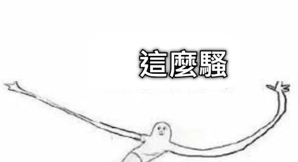 這麼騷