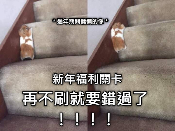新年福利關卡 再不刷就要錯過了！！！！ ＊過年期間慵懶的你＊