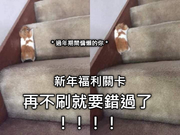 新年福利關卡 再不刷就要錯過了！！！！ ＊過年期間慵懶的你＊