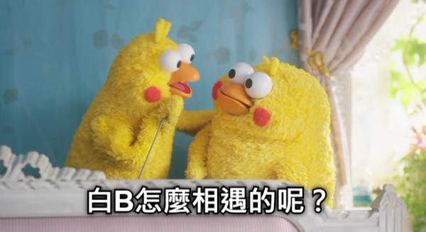 白B怎麼相遇的呢？