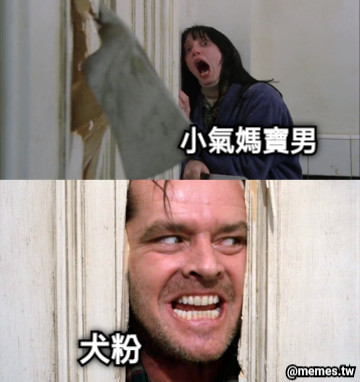 小氣媽寶男 犬粉