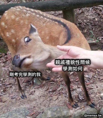 親戚禮貌性問候學測如何 剛考完學測的我