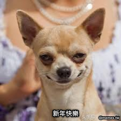 新年快樂