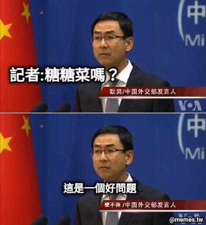 記者:糖糖菜嗎？ 這是一個好問題