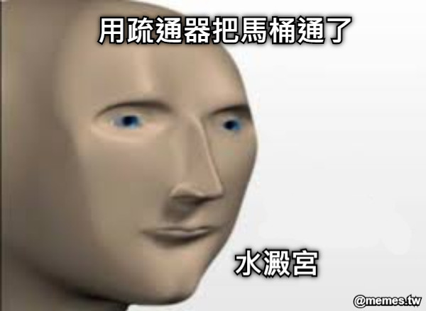 用疏通器把馬桶通了 水澱宮