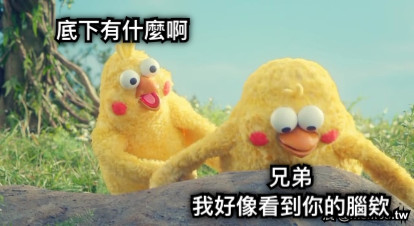 底下有什麼啊 兄弟 我好像看到你的腦欸