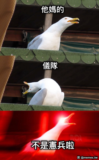 他媽的 儀隊 不是憲兵啦