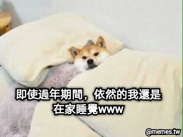 即使過年期間，依然的我還是在家睡覺www