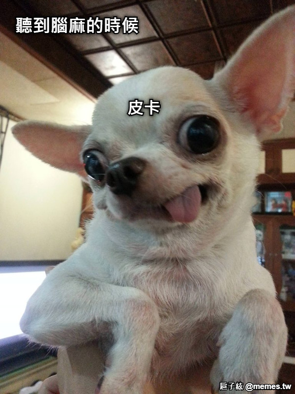 皮卡 聽到腦麻的時候