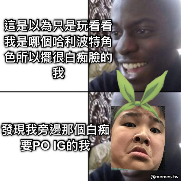 這是以為只是玩看看我是哪個哈利波特角色所以擺很白痴臉的我 發現我旁邊那個白痴要PO IG的我