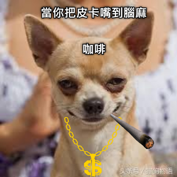 當你把皮卡嘴到腦麻 咖啡
