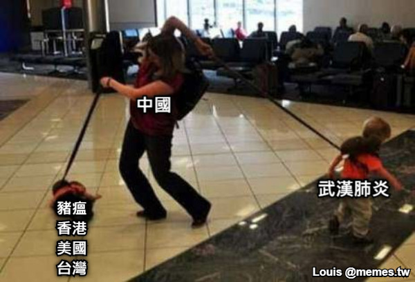 豬瘟 香港 美國 台灣 武漢肺炎 中國