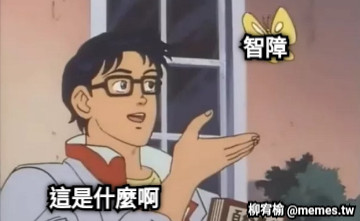 智障 這是什麼啊