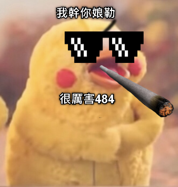 我幹你娘勒 很厲害484