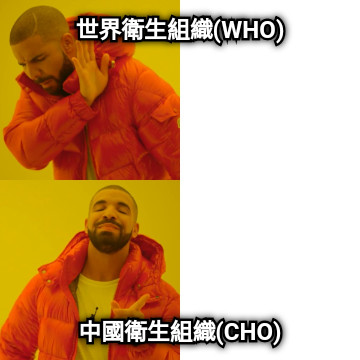 世界衛生組織(WHO) 中國衛生組織(CHO)
