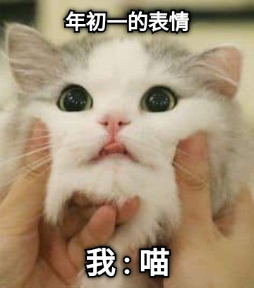 年初一的表情 我 : 喵