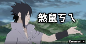 煞鼠ㄎㄟ