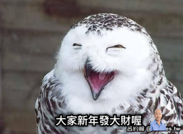 大家新年發大財喔