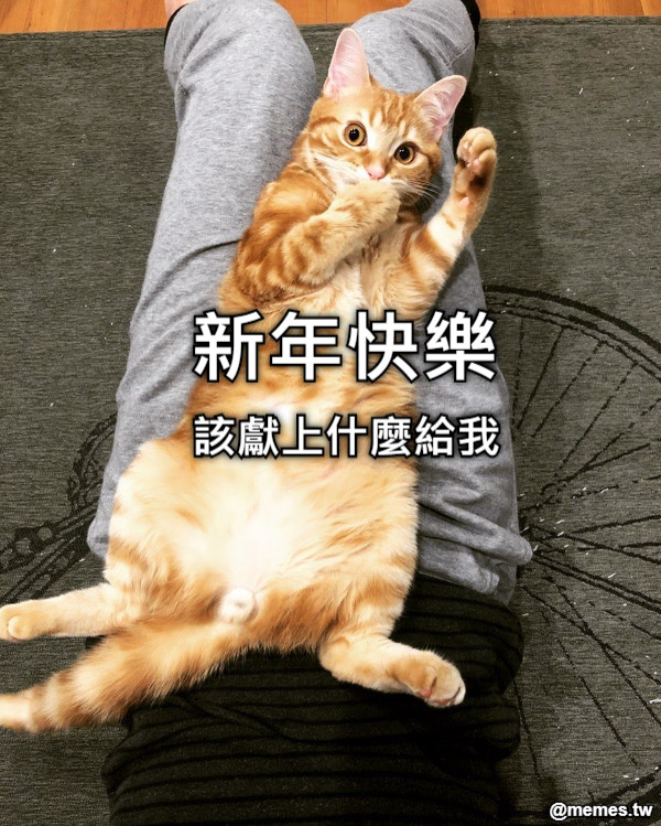 新年快樂 該獻上什麼給我