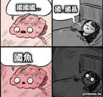 國國國... 國..國昌 國魚