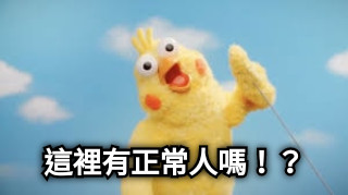 這裡有正常人嗎！？