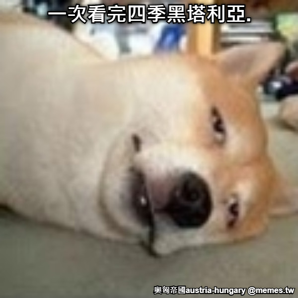 一次看完四季黑塔利亞.