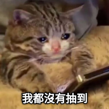我都沒有抽到
