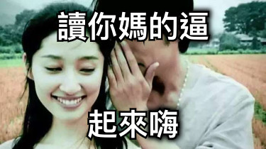 讀你媽的逼 起來嗨
