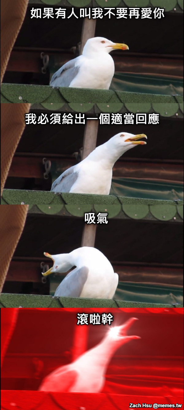 如果有人叫我不要再愛你 我必須給出一個適當回應 吸氣 滾啦幹