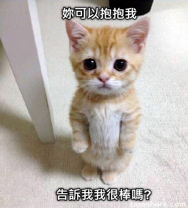 妳可以抱抱我 告訴我我很棒嗎?