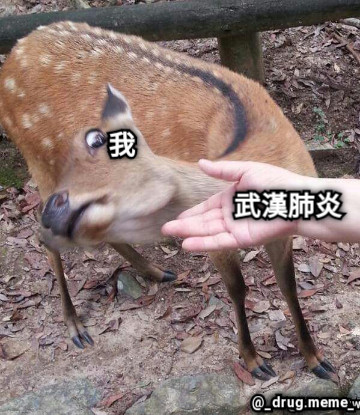 我 武漢肺炎 @_drug.meme_