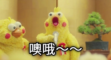 噢哦～～