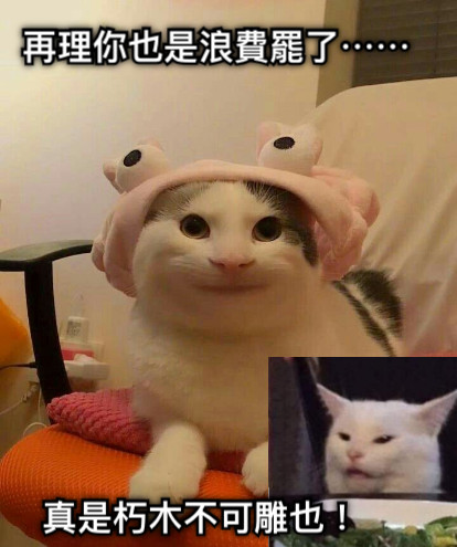 再理你也是浪費罷了⋯⋯ 真是朽木不可雕也！