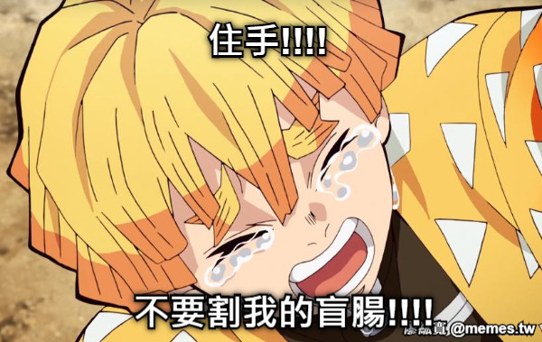 住手!!!! 不要割我的盲腸!!!!