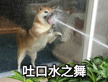 吐口水之舞