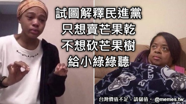 試圖解釋民進黨 只想賣芒果乾 不想砍芒果樹 給小綠綠聽