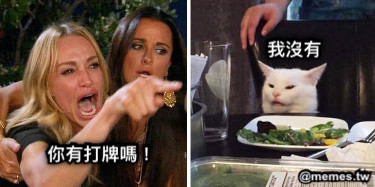 你有打牌嗎！ 我沒有