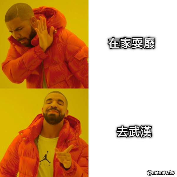 在家耍廢 去武漢