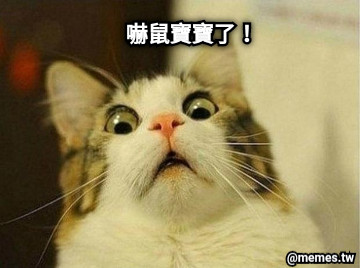 嚇鼠寶寶了！