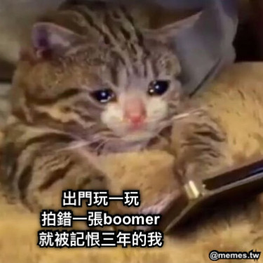 出門玩一玩 拍錯一張boomer 就被記恨三年的我