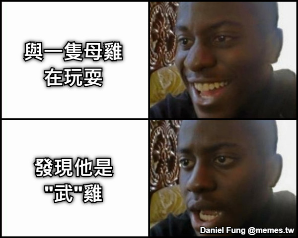 與一隻母雞在玩耍 發現他是"武"雞