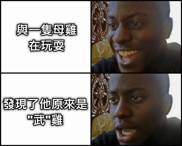 與一隻母雞在玩耍 發現了他原來是 "武"雞