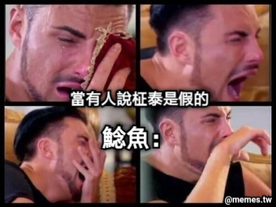 當有人說柾泰是假的 鯰魚：