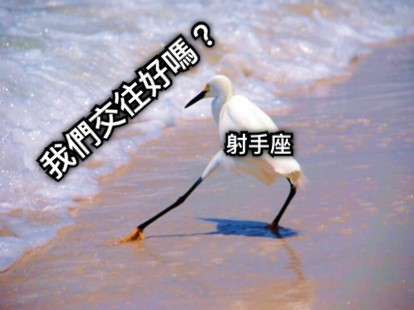 我們交往好嗎？ 射手座