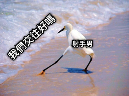 我們交往好嗎 射手男