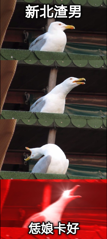 新北渣男 恁娘卡好